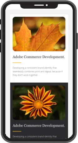 Mobile view of the two columns with the desktop order module.